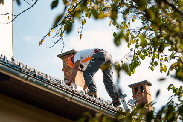 Best Storm Damage Roof Repair  in Seabrook, SC
