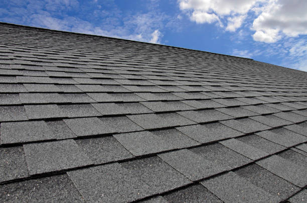Best Roof Moss and Algae Removal  in Seabrook, SC